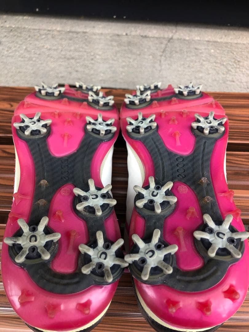313番ECCOゴルフシューズ38 24.0cmソフトスパイクbiom