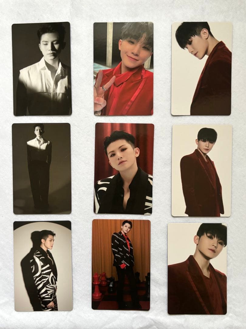 SEVENTEEN WOOZI ウジ Ruby トレカ18枚