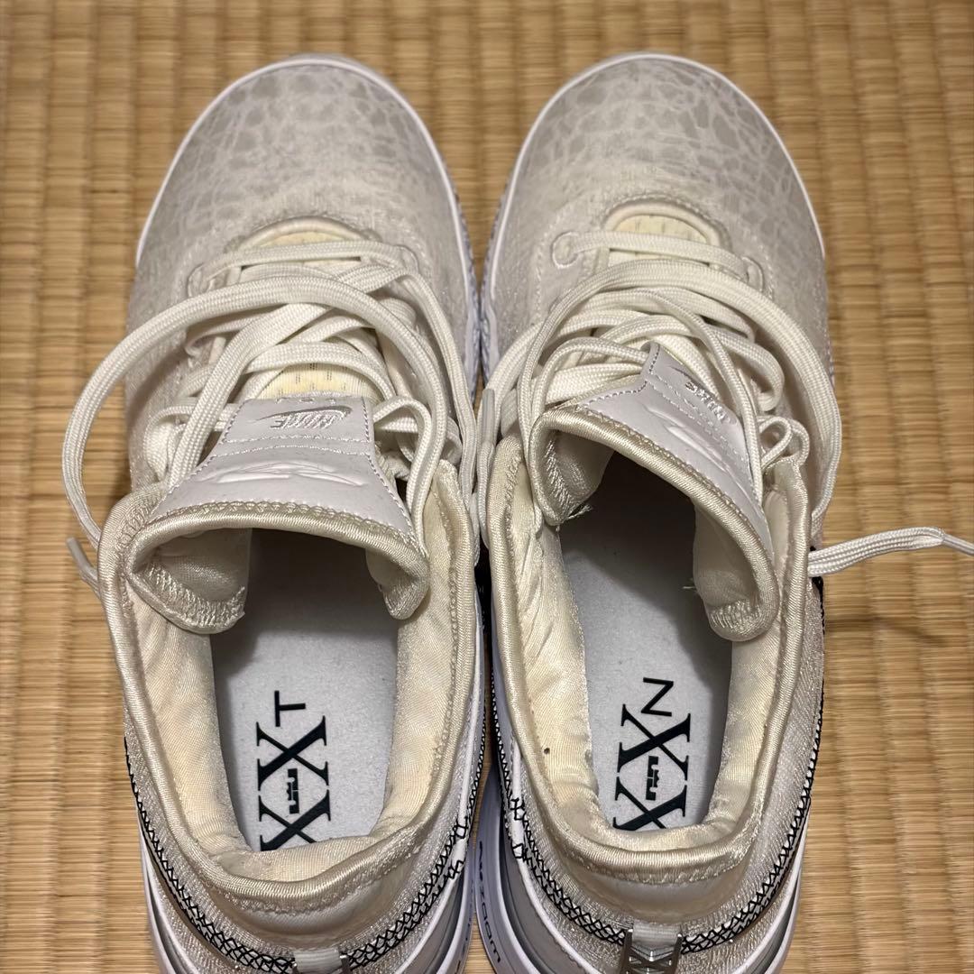 シューズ(男性用) Nike Zoom LeBron NXXT Gen