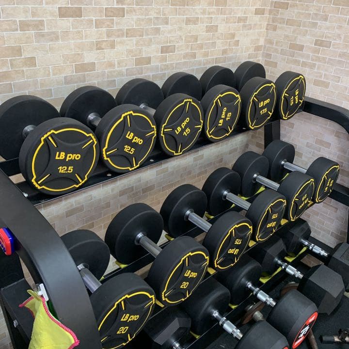 TPUダンベル　25kg２個
