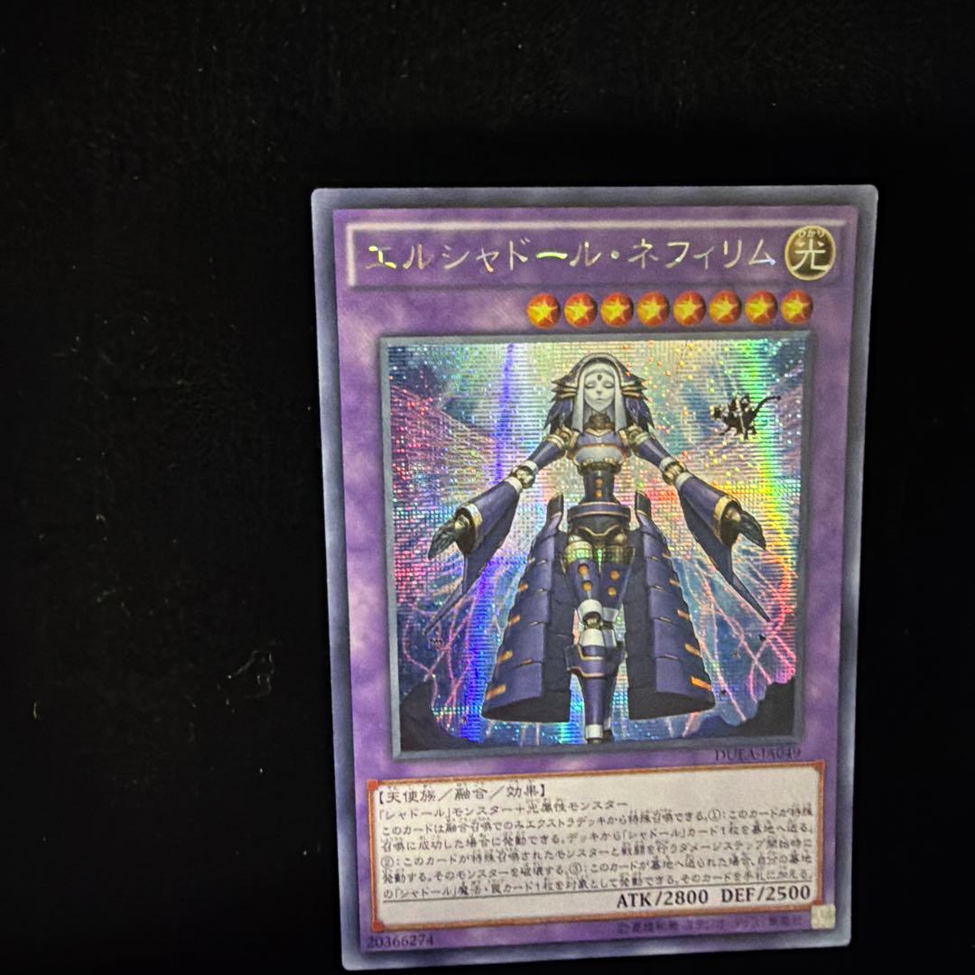 エルシャドール・ネフィリム　シークレットシク　アジア　DUEA