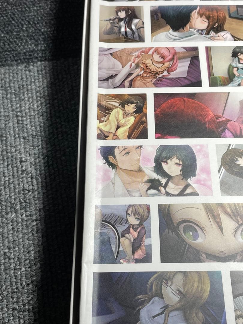 C82 【STEINS;GATE】【ROBOTICS;NOTES】 セット