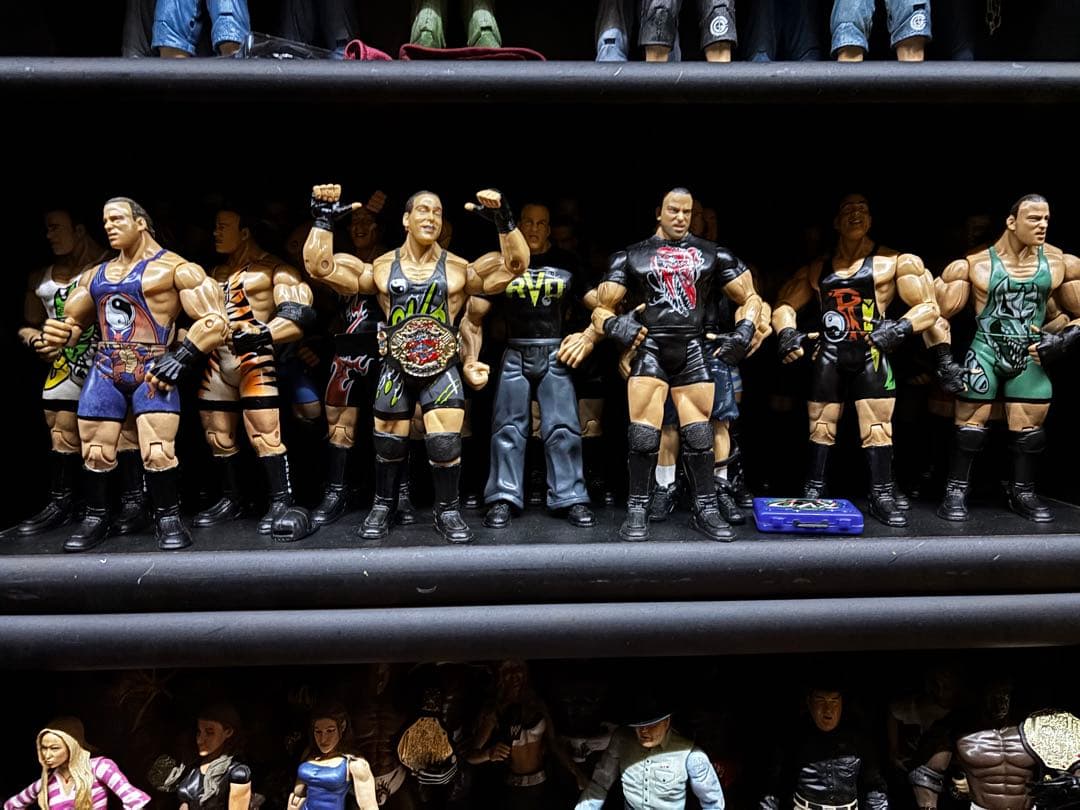 WWE トイフェアー世界100体限定　ハルクホーガン　レア品　100体のオマケ付