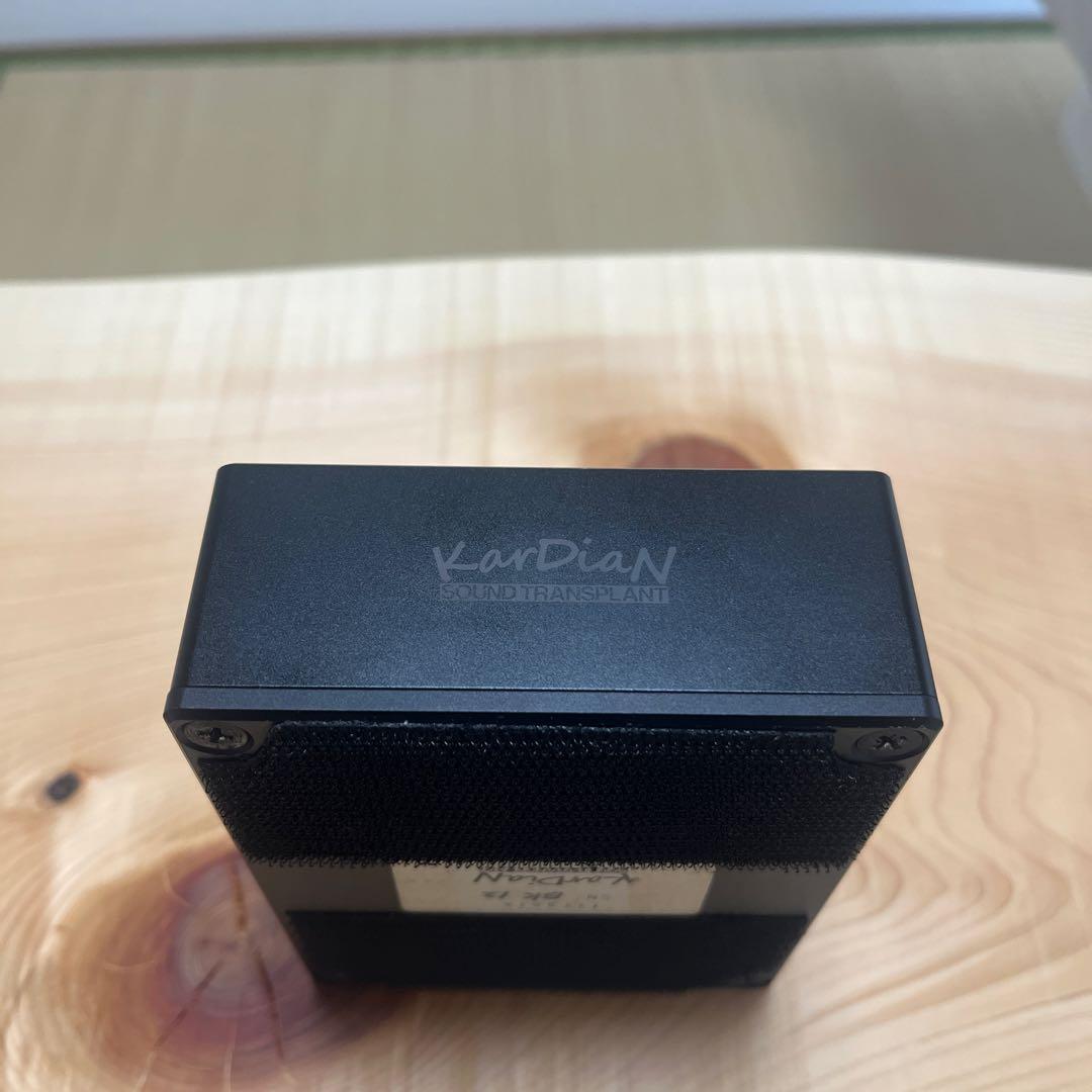 ギター KarDian titania V1 Black edition