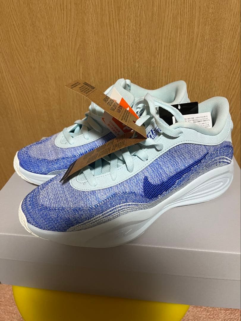 NIKE ナイキ　バスケットボール　トレーニングシューズ　ジム　新品未使用