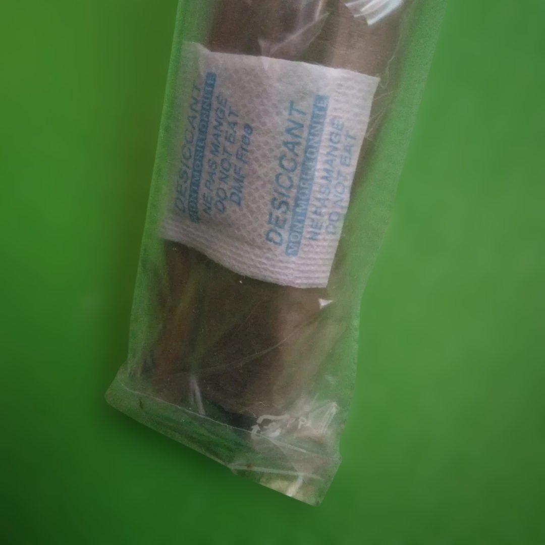 一心竹山城　紀州竹竿