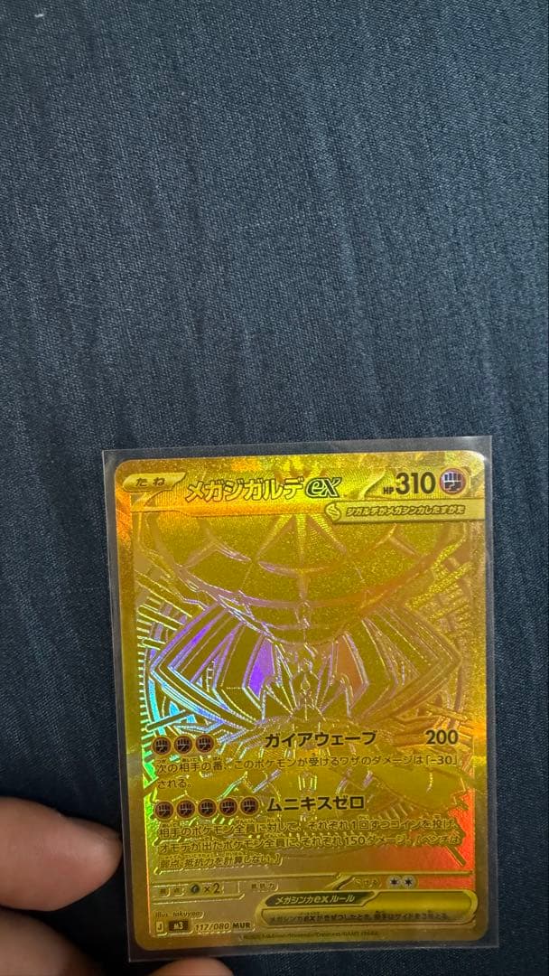 メガギャラドスEX HP310