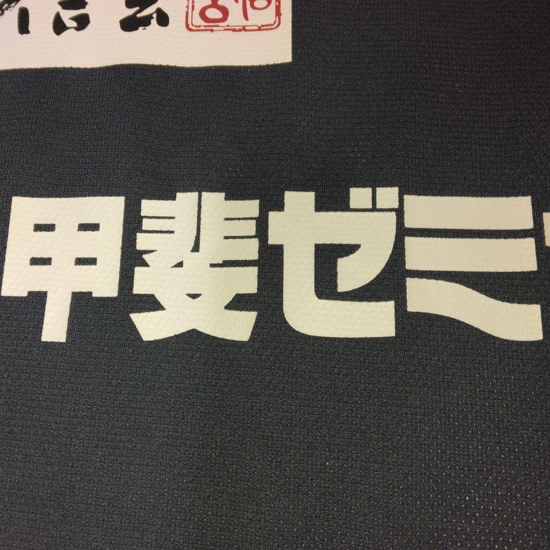 ヴァンフォーレ甲府 半袖TRシャツ【美品】