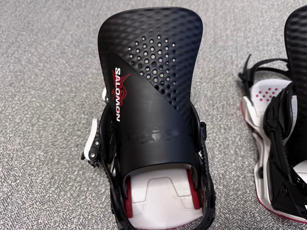 SALOMON ホログラム　HOLOGRAM DUSTY 日本正規品 限定