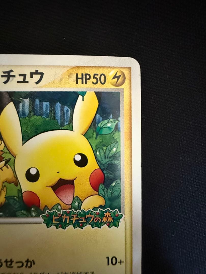ポケパークのピカチュウ レックウザ