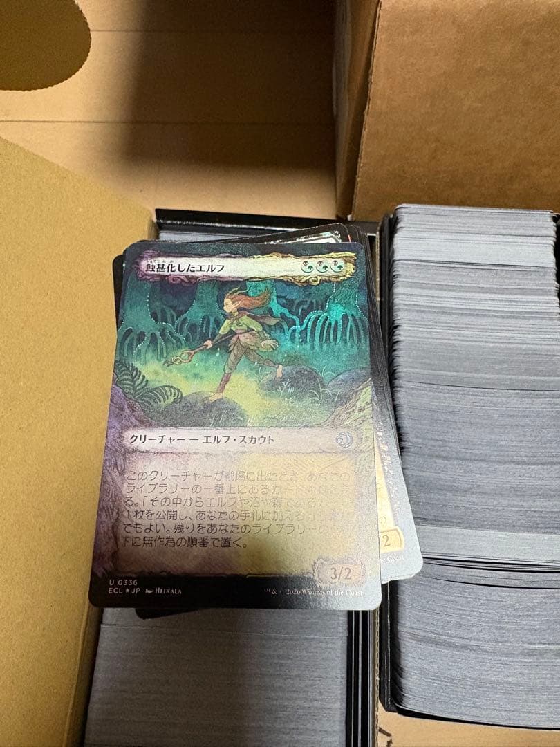 MTG foil 大量まとめ売りセット コモン アンコ ローウィン タートルズ