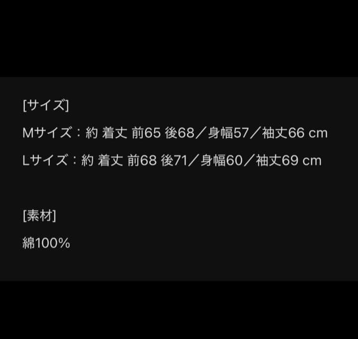 HYDE INSIDE LIVE 2025 パーカー　Mサイズ