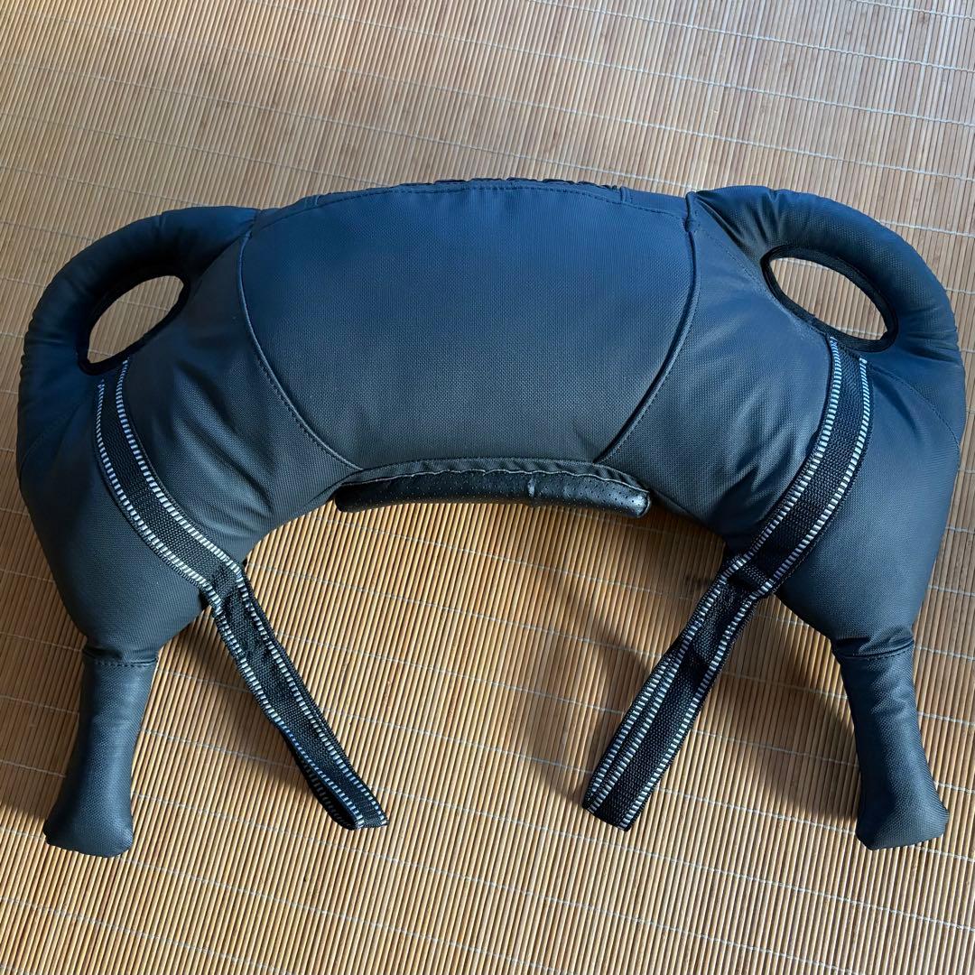 【美品】IROTEC アイロテック ブルガリアンサンドバッグ 10kg