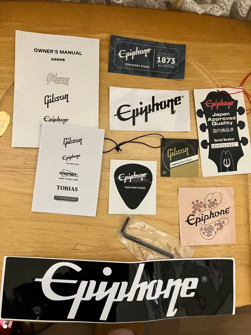 ぼっち・ざ・ろっく! ぼっちちゃん仕様 Epiphone レスポール カスタム