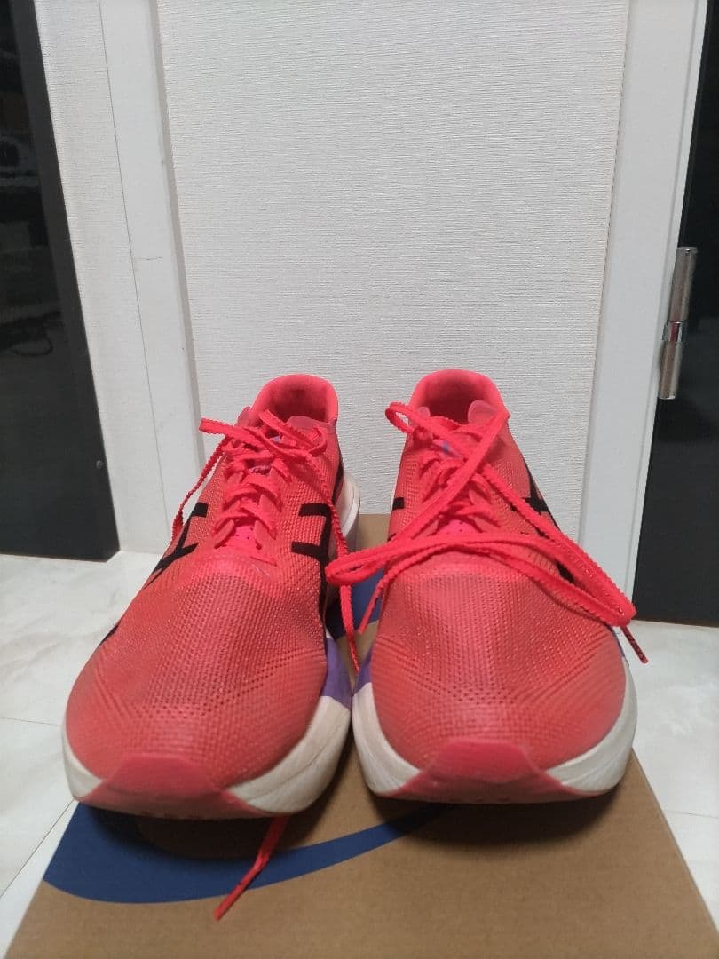 ASICS メタスピードスカイTOKYO　29.0cm
