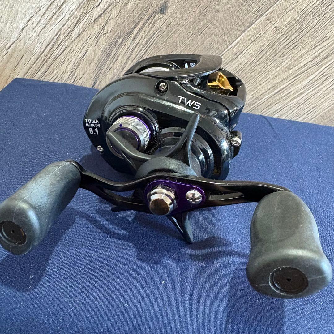 【みかん】ダイワ(DAIWA) 14 タトゥーラ 103XH-TW