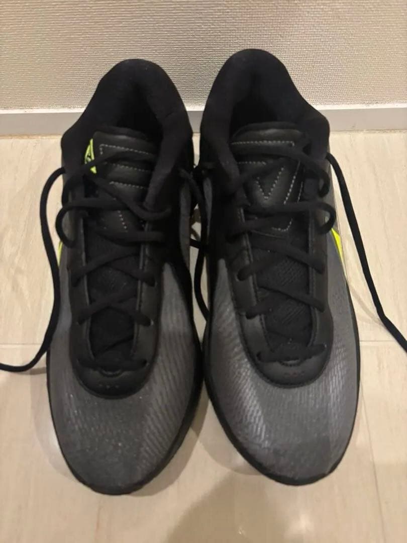 Nike Giannis Freak 6 ヤニス フリーク 6 EP 27cm