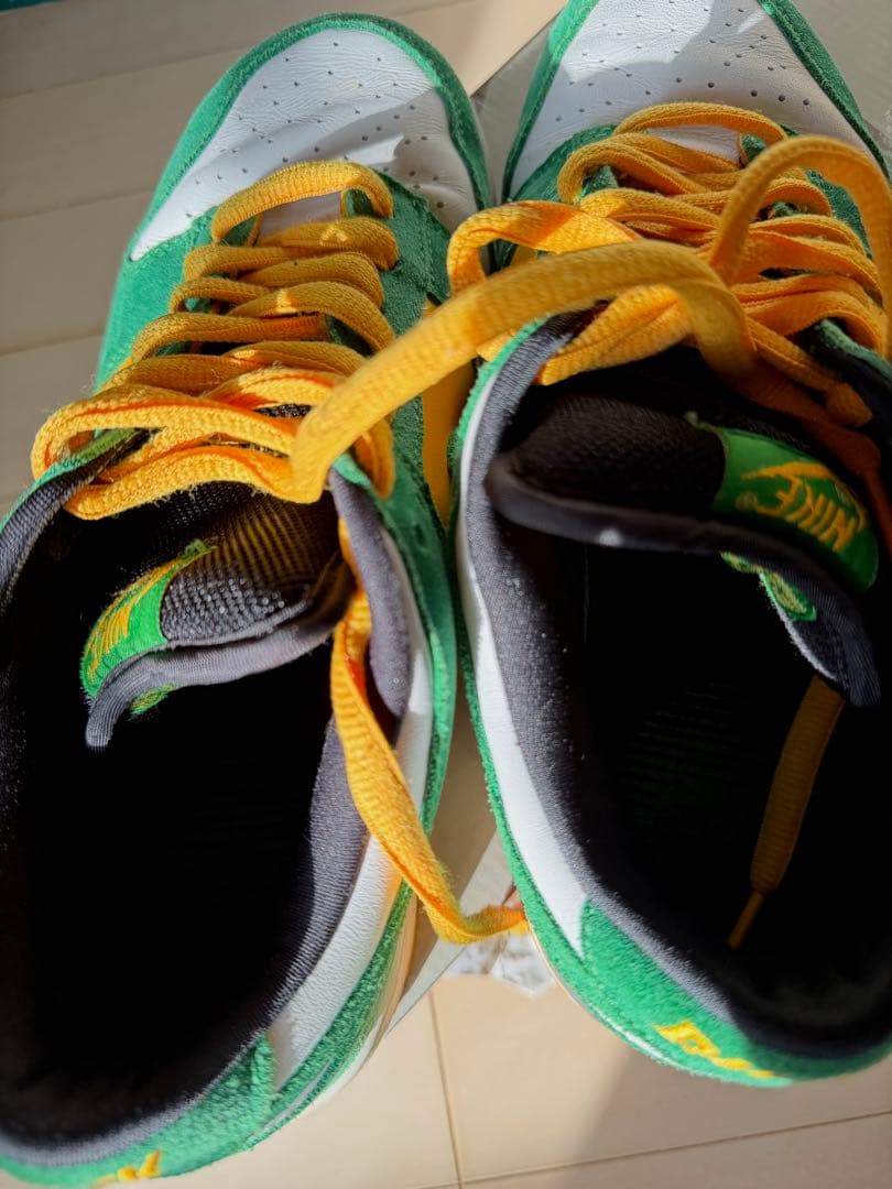 スケートボード NIKE SB DUNK LOW Buck 28cm