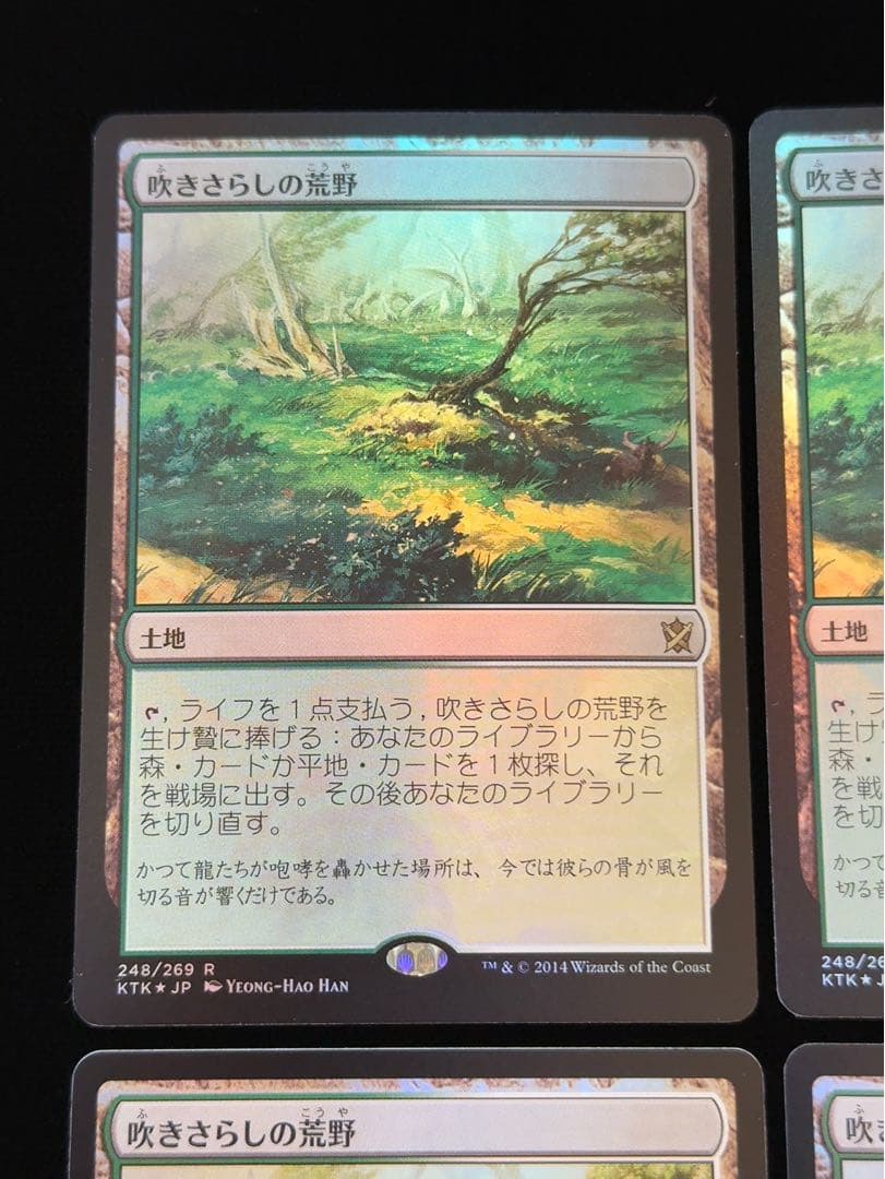 【foil】吹きさらしの荒野　日本語　4枚セット