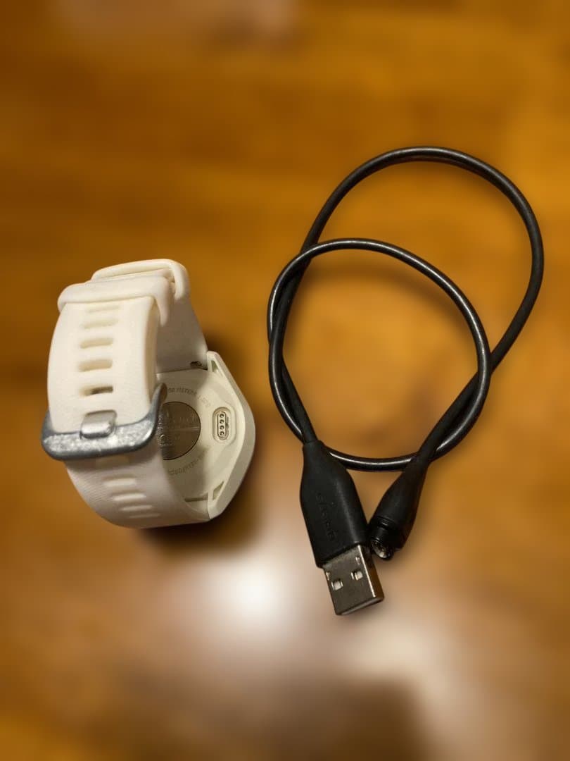 GARMIN ガーミン Approach アプローチ S42 白