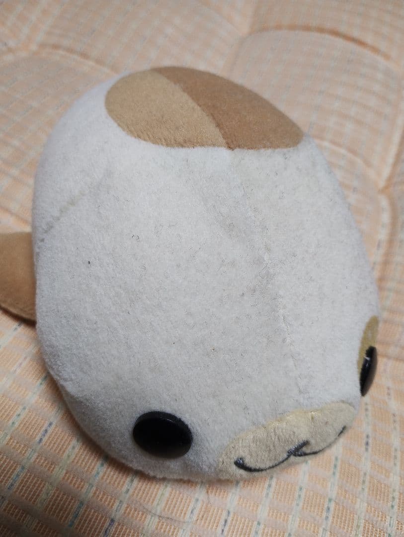 あざらし　まめゴマ　ぬいぐるみ　はむゴマ？　サンエックス　　タグ付き　アザラシ