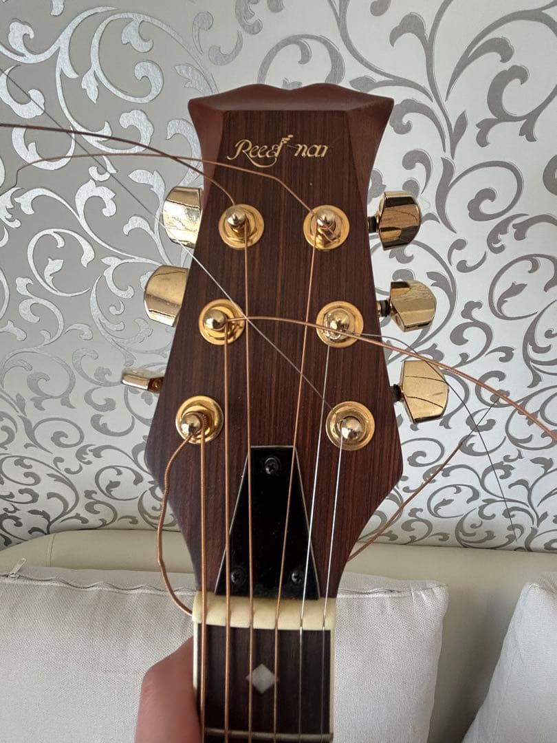 Reed Man RMA-09 アコースティックギター