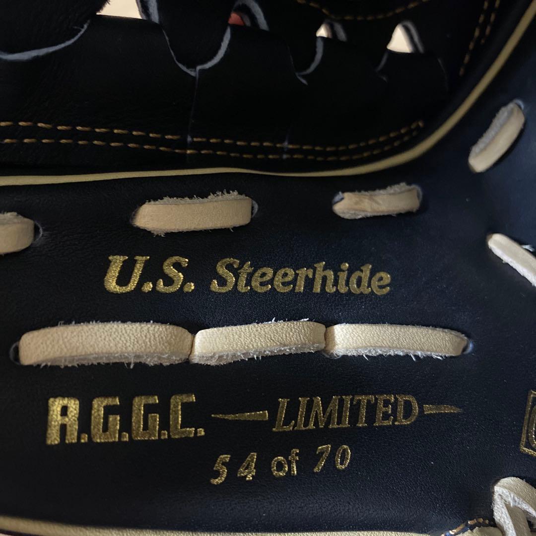Rawlings ローリングス オーダーグラブ　投手用　山下モデル