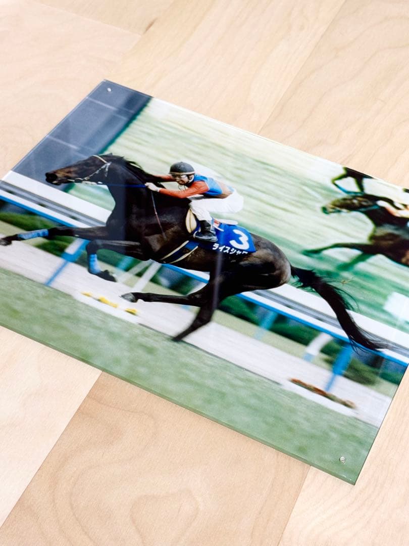 ライスシャワー　アクリルフォト　95年天皇賞春　ウマ娘　JRA 当時物