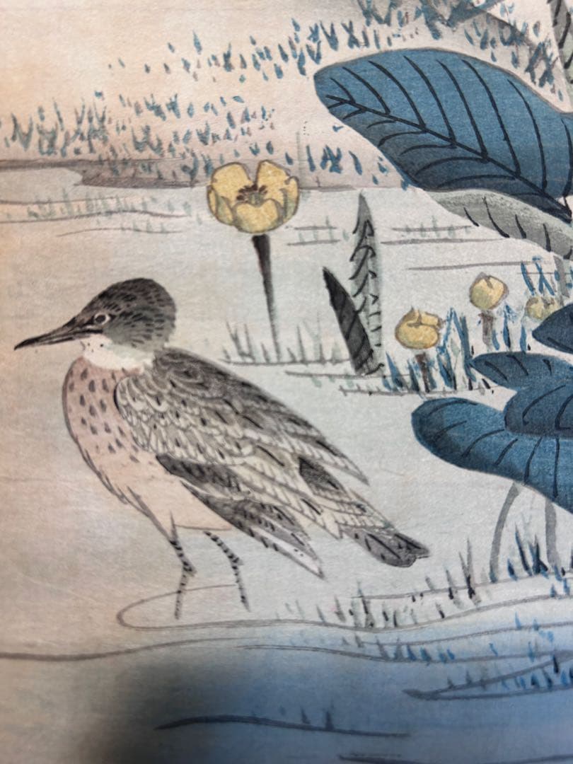 明治27年　木版画　「景文花鳥画譜」　松村景文　花鳥