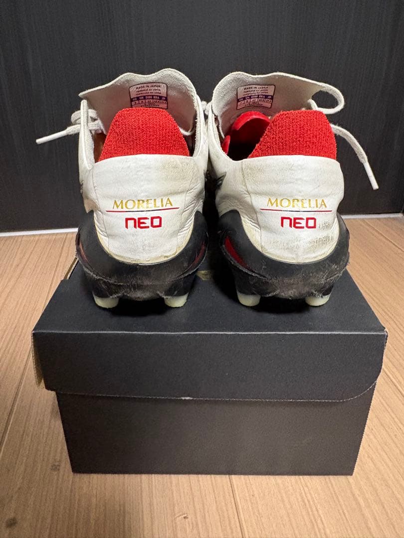 Mizuno モレリアneo⒋
