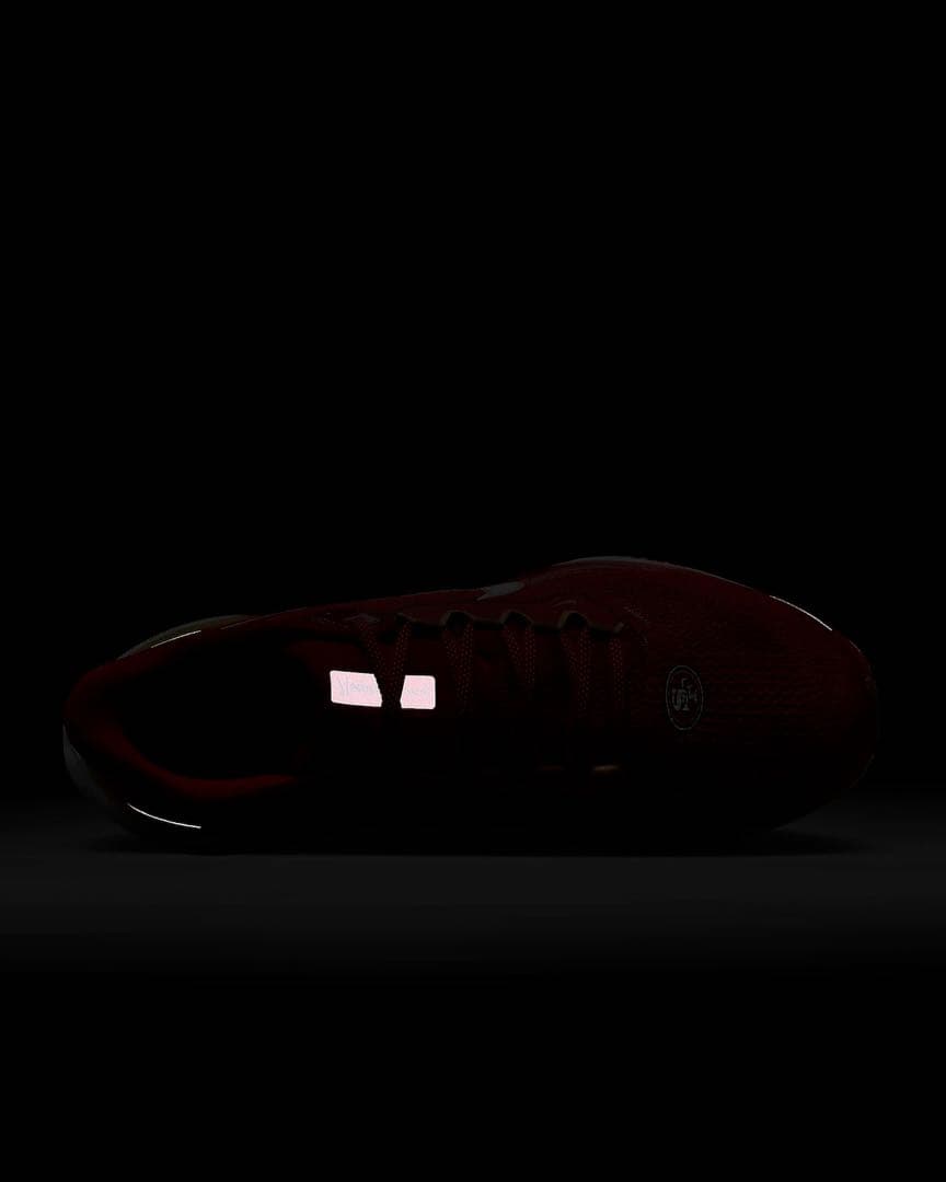 【26㎝】Nike Pegasus 41 49ers ランニングシューズ