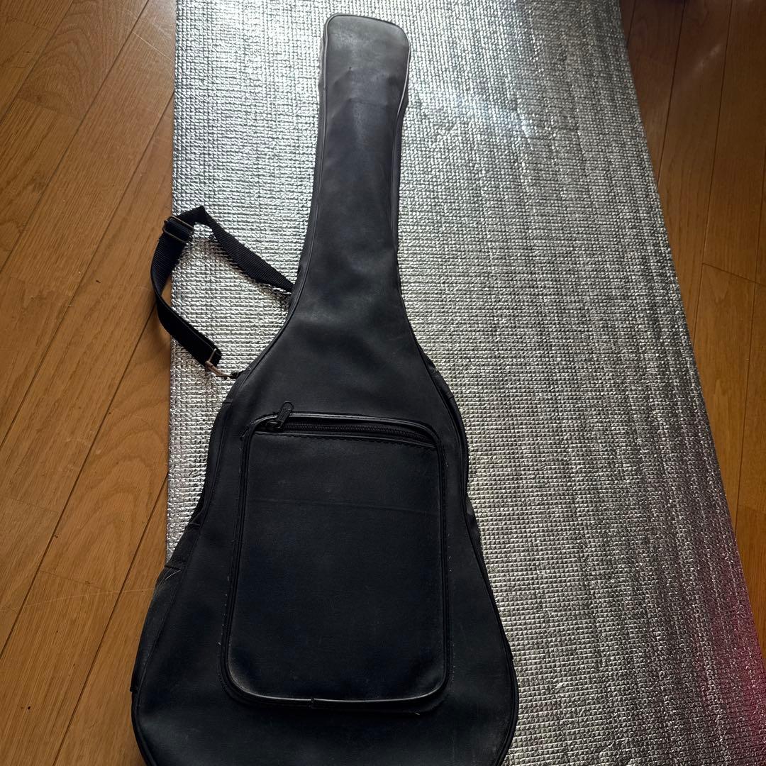 Pro Martin　アンプ内蔵　ヴィンテージ　miniエレアコ