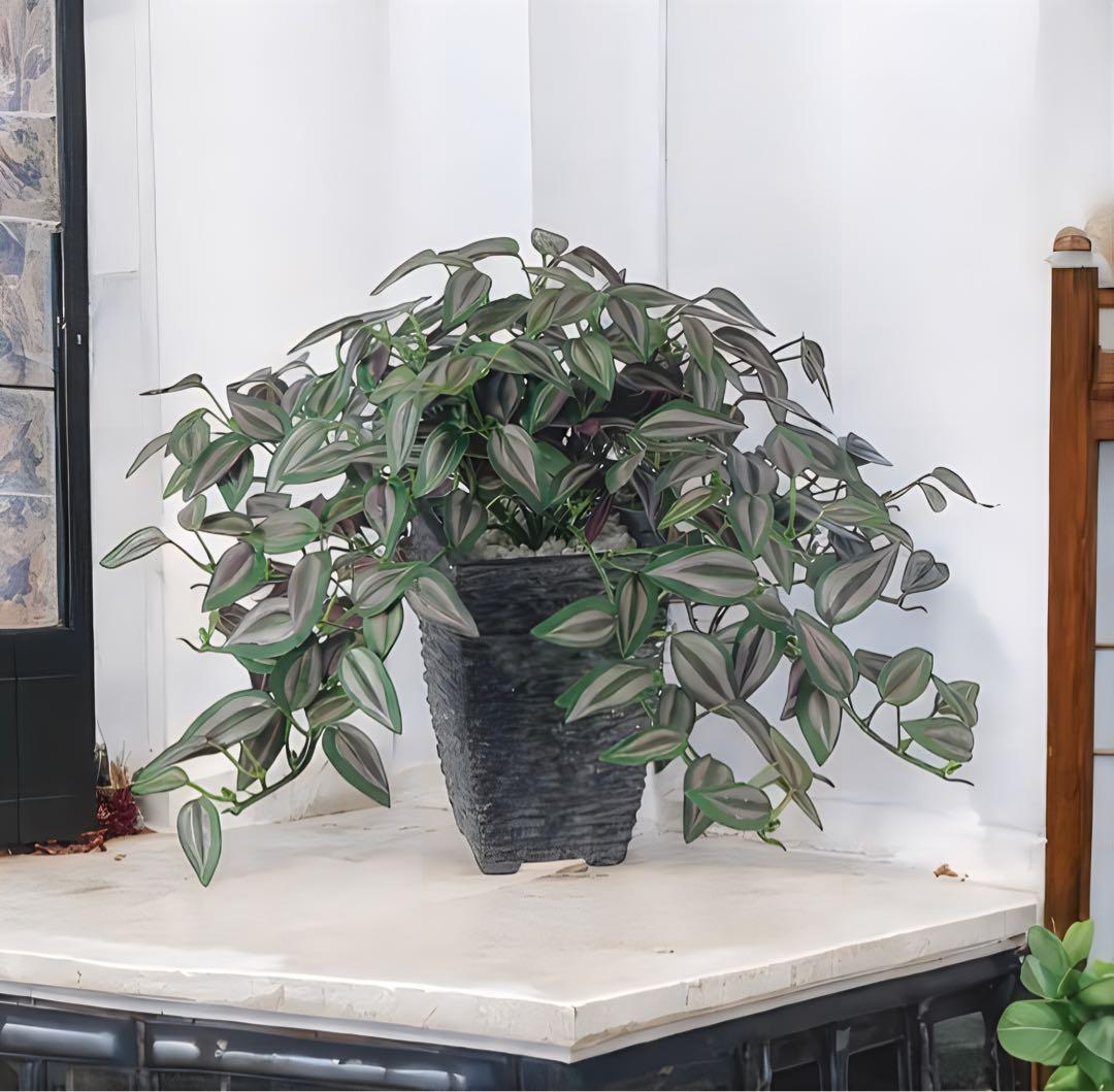 光触媒　人工観葉植物　ウォールグリーン　フェイクグリーン　セブリナ 25cm