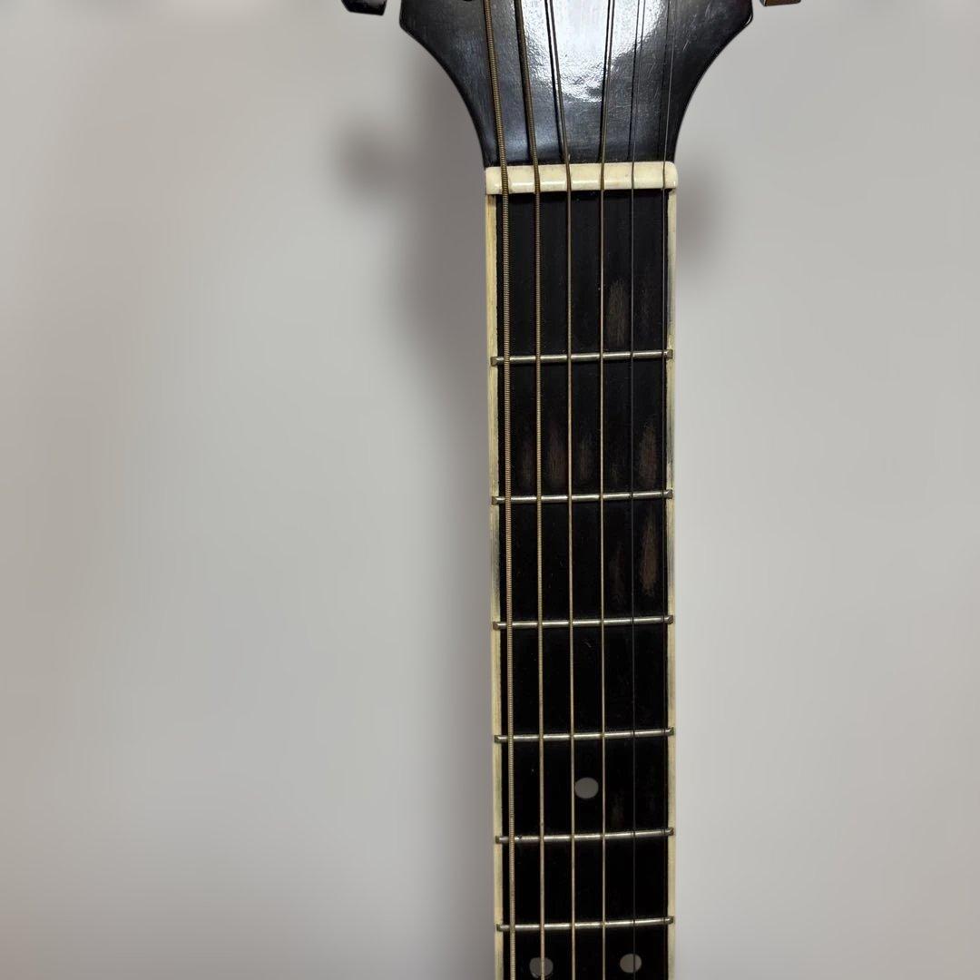 SX DG1K/VS アコースティックギター