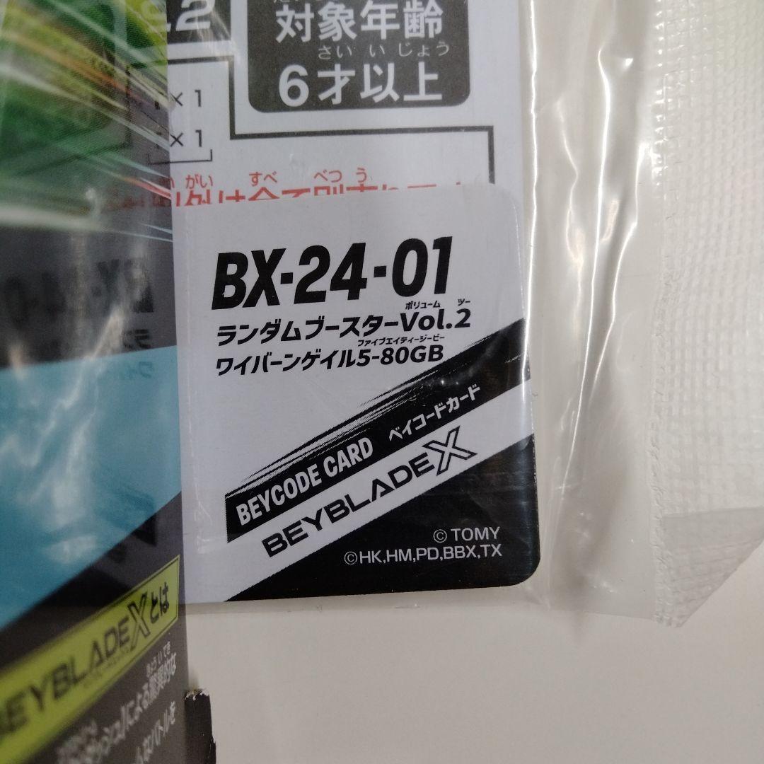 【新品未使用】ワイバーンゲイル5-80GB