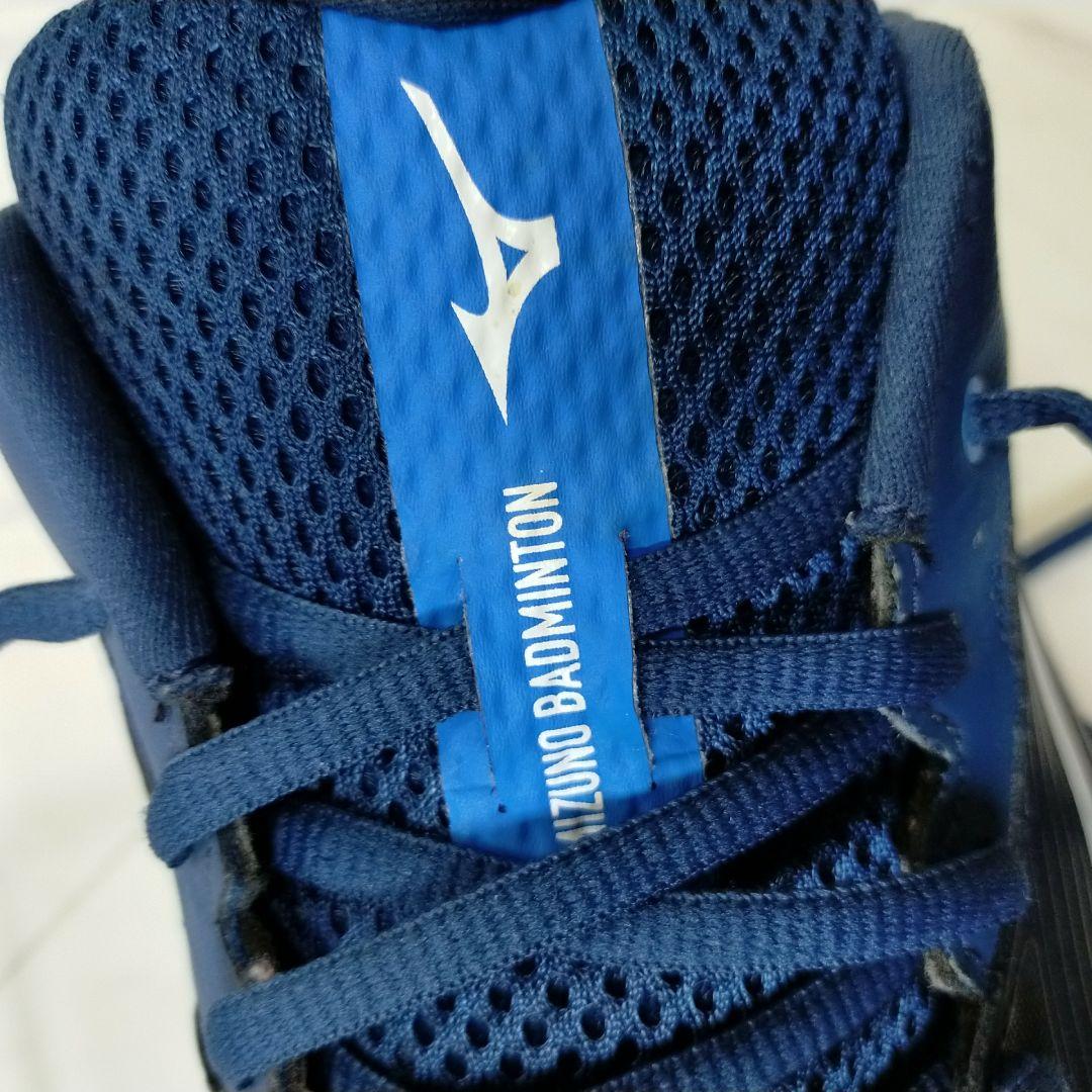 Mizuno ミズノ バドミントンシューズ ウエーブクロー 28cm 4E