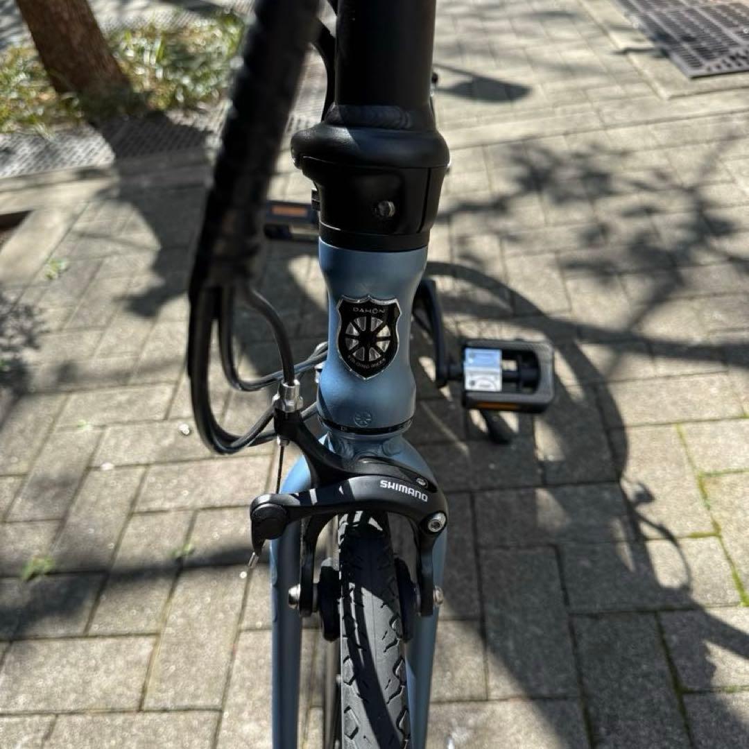 DAHON Visc EVO スカイグレー