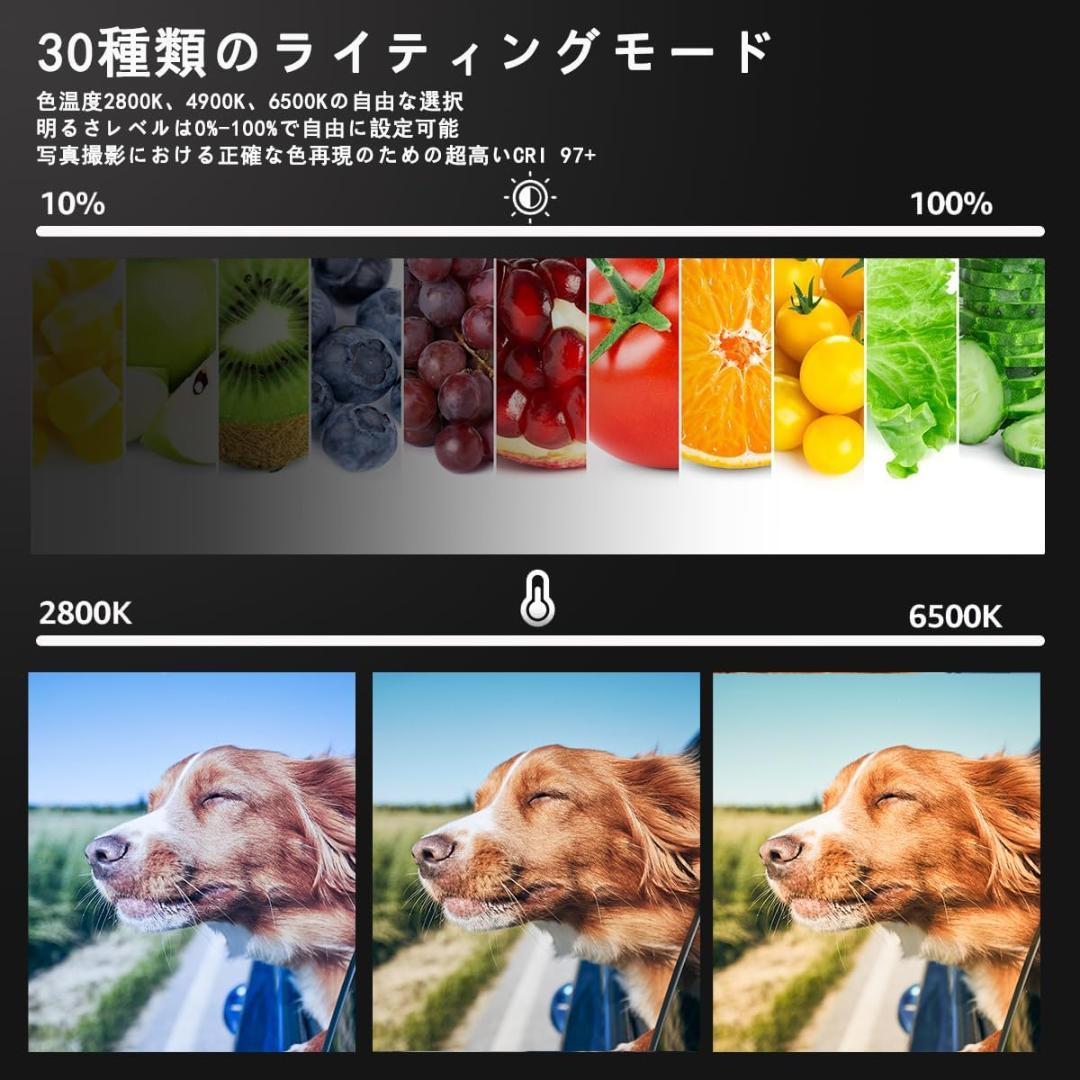 【R1347-76-15】撮影用ライト 2パック LEDライト 照明