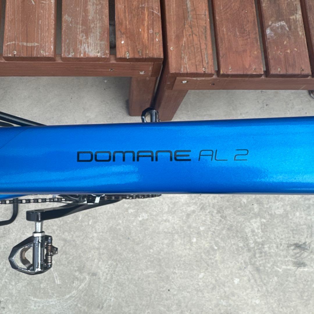 ✰人気のTREK ✰DOMANE AL2✰52サイズ✰早い者勝ち‼️✰