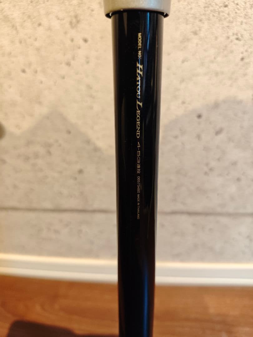 DAIWA 波濤レジェンド(Hatou Legend)　4号-53遠投