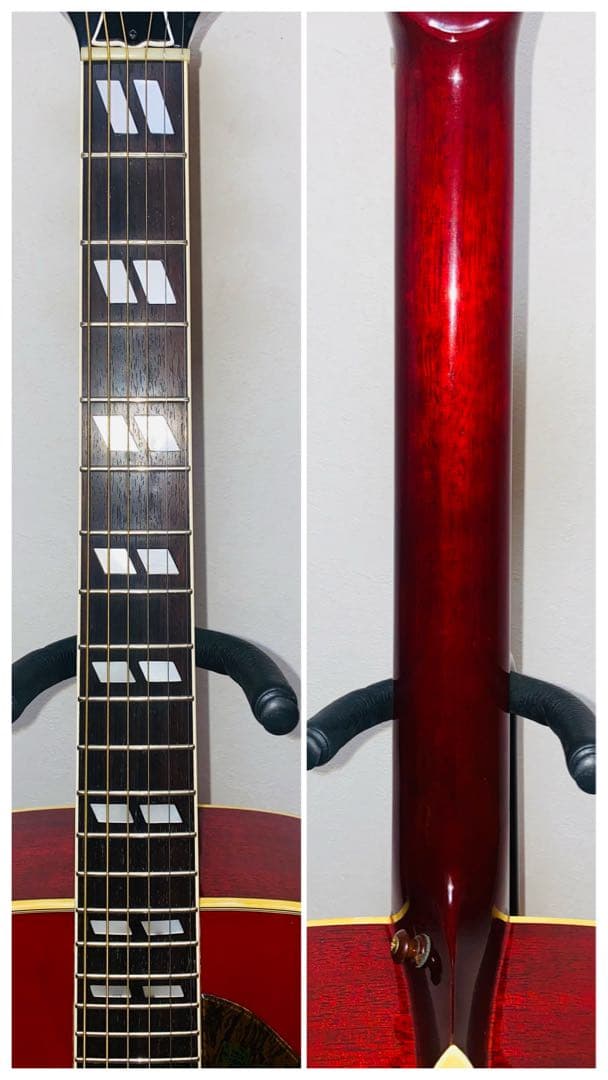 Morris WD25 JAPANVintage GibsonDOVEモデル