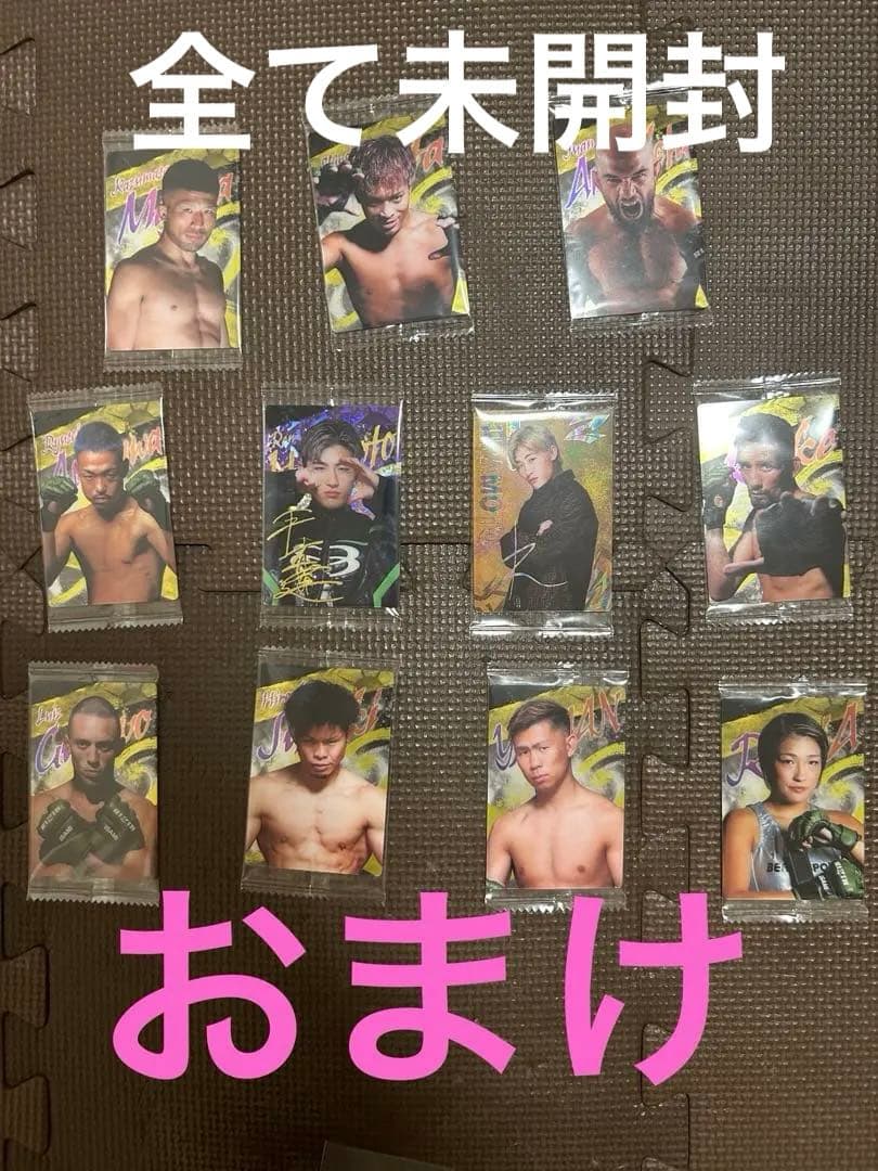 平本蓮AMNJX HRDズボンだけ少し毛玉がついています。両方Lサイズです