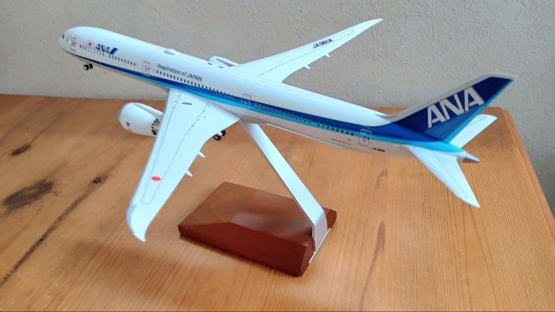 はなをさん専用 ANA Boeing 787-10