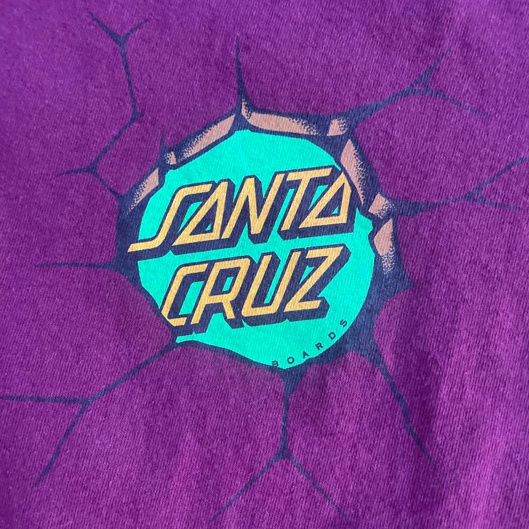 SANTA CRUZ Tシャツ タートルズ　L