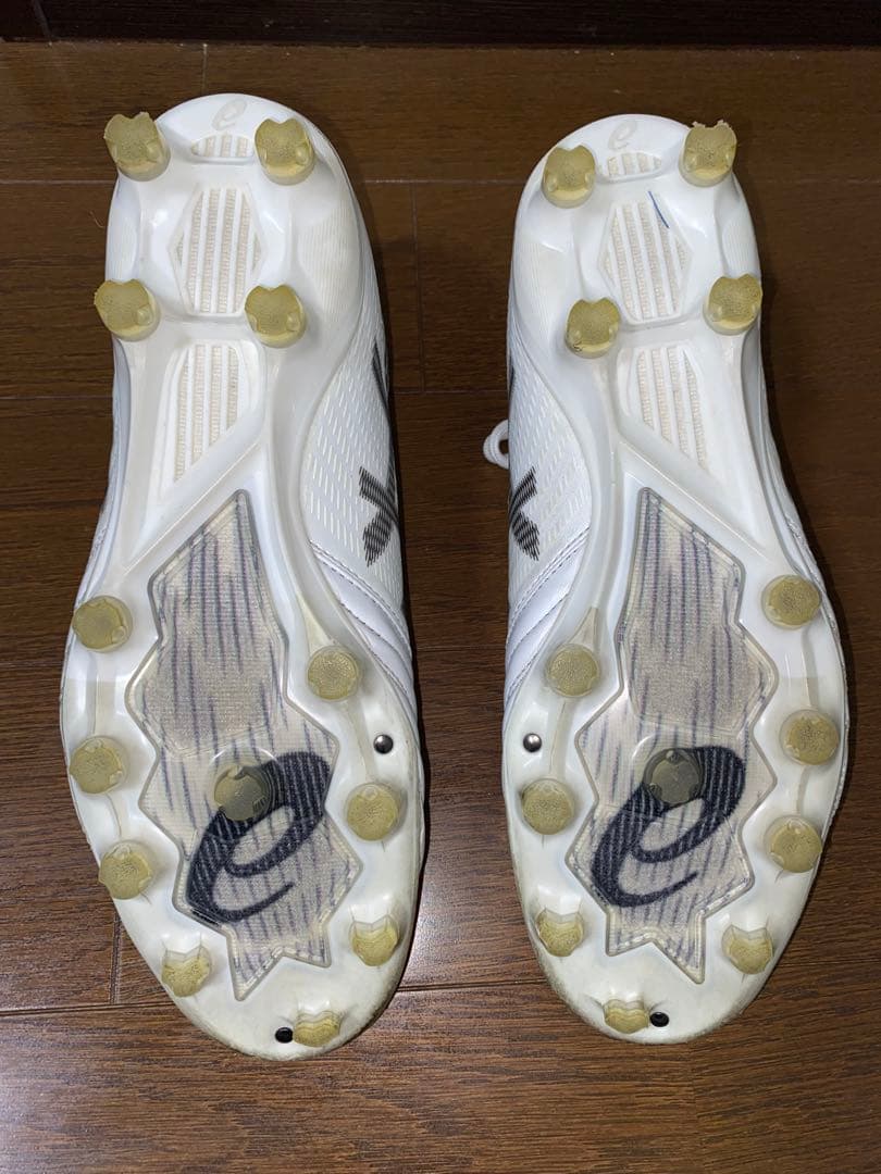 アシックス DS LIGHT X-FLY PRO2 26.0 cm