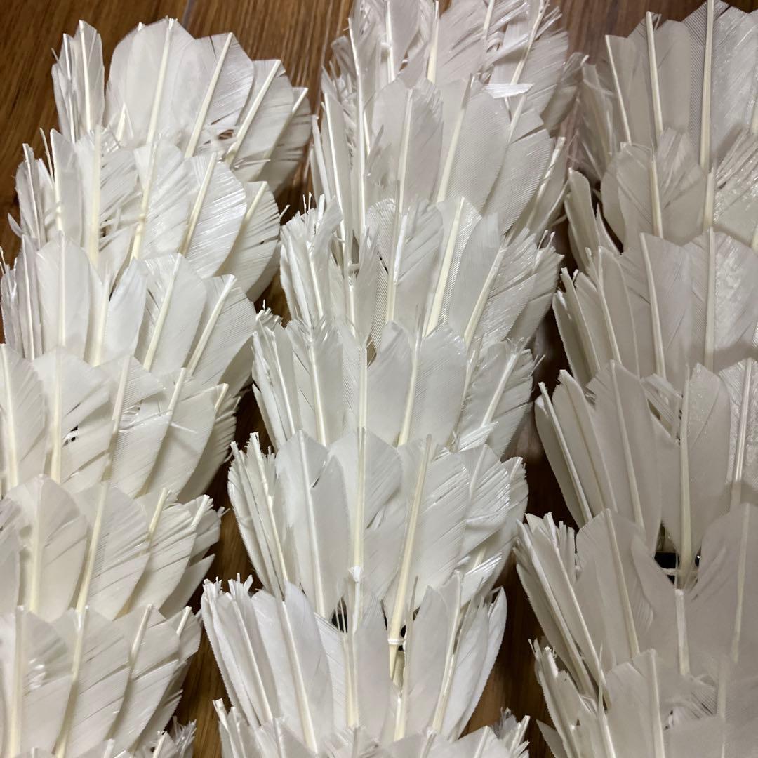 YONEXバドミントンシャトル【中古】