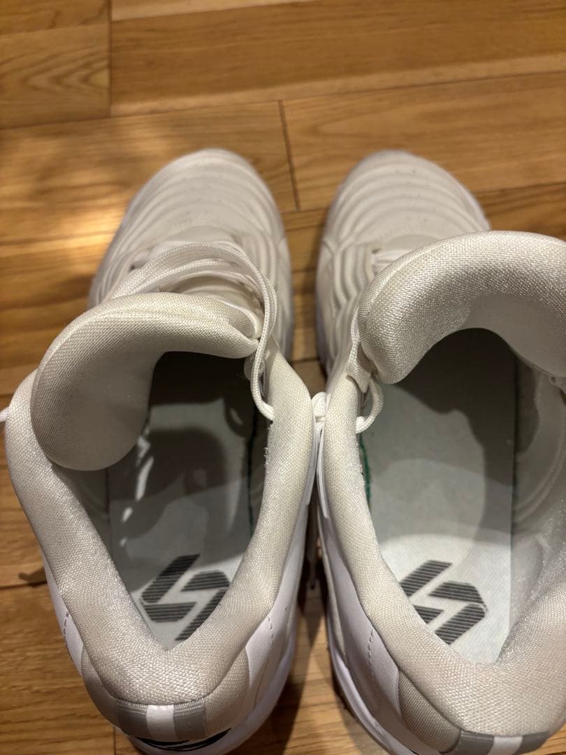 シューズ(男性用) NIKE JORDAN LUKA 3 TB PF