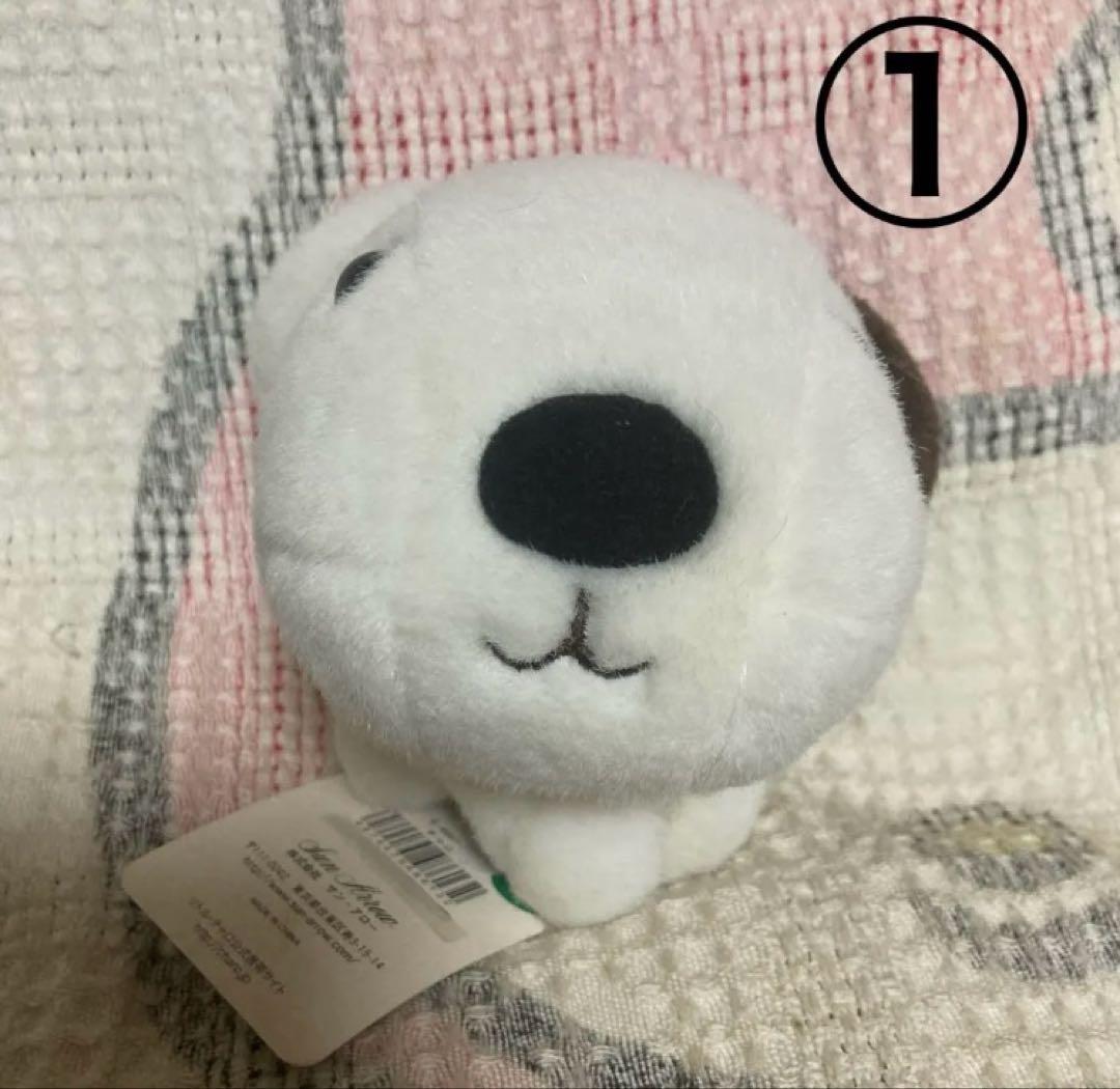 NHK 2008 Little Charo チャロ　ぬいぐるみ　中古品