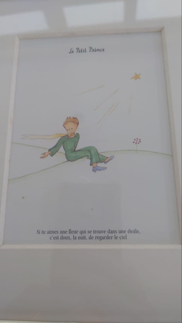 星の王子さまLe Petit Prince