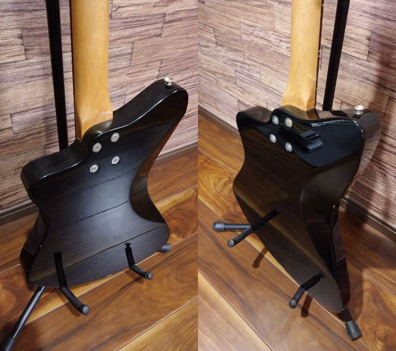 Burny バーニーシャチ FERNANDES
